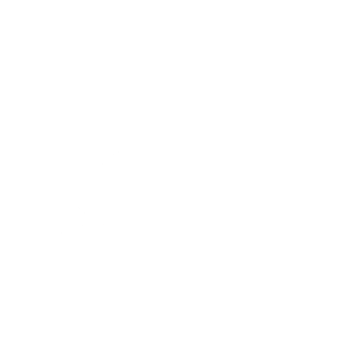 QvOptik